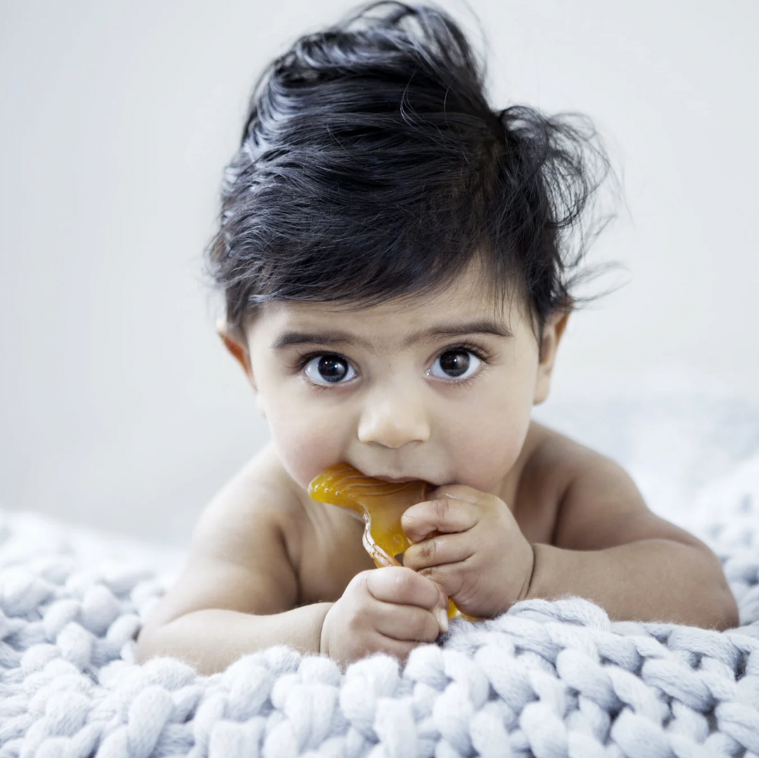 Natural Rubber Teether in Reusable Case - 1 Pack