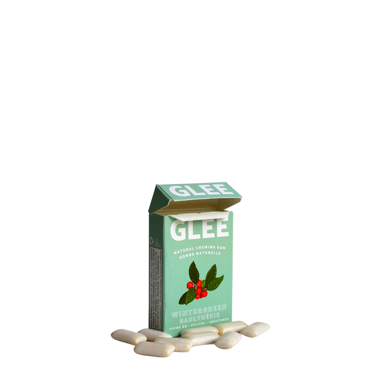 Sugar-Free Gum - Wintergreen - 16 Pieces