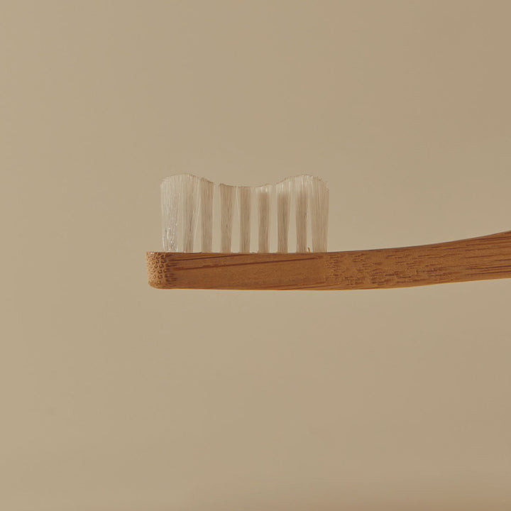 Sustainable Bamboo Medium Toothbrush - Coffee & Green - 2 Pack