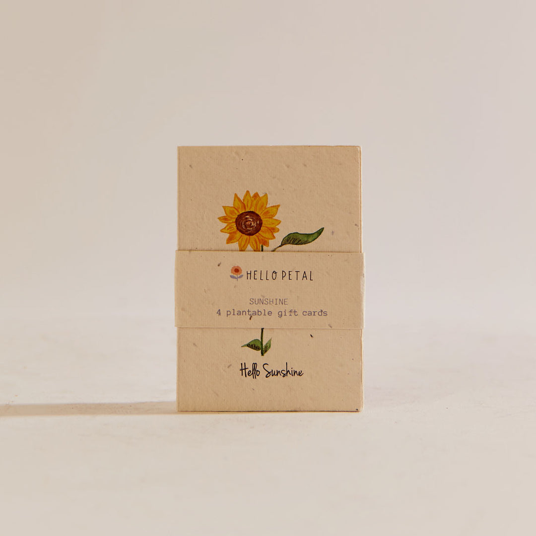 Sunshine Mini Cards - 4 Pack